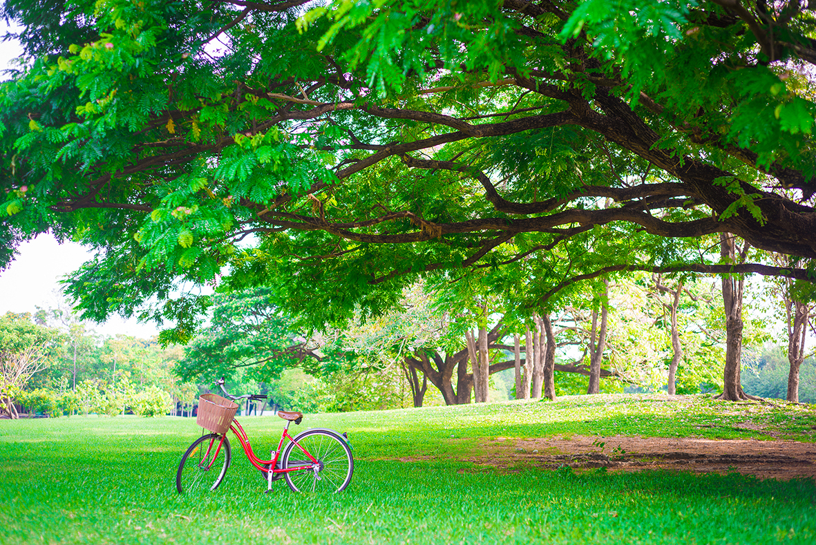 公園.jpg